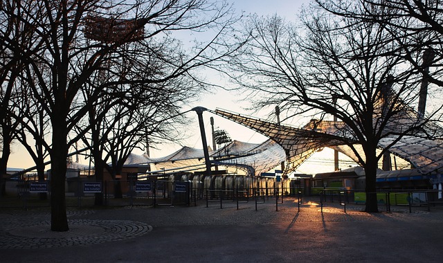 现场的一些 现场的一些